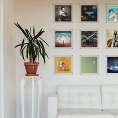 a white couch sitting in front of a wall filled with pictures and a potted plant