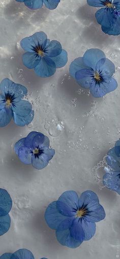 blue flowers floating in water on top of a sandy surface with drops of water around them