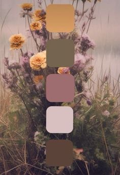 an image of flowers in the grass with color swatches to match it's palettes