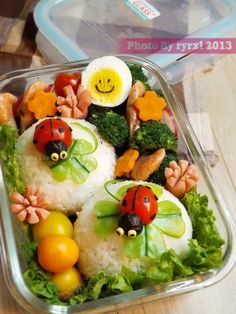 a plastic container filled with rice, vegetables and ladybugs on top of it