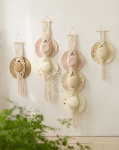 three wall hangings with macrame and hats attached to the wall next to a potted plant