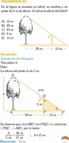 the diagram shows how to measure trees in different directions