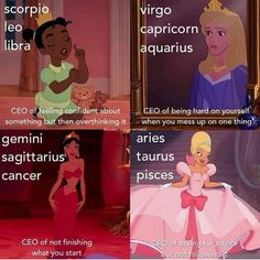 disney princesses with captioning about their roles in the animated movie, sleeping beauty