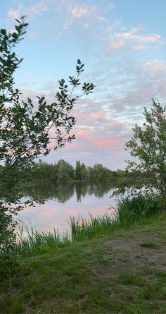 a bench sitting on the side of a river next to a lush green field and forest