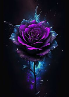 a purple rose with water droplets on it's petals is shown in the dark