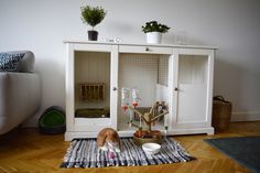 a dog standing in front of a white cabinet