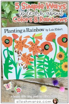 a book with flowers on it and the title 5 simple ways to learn about colors and rainbow