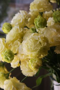 yellow and white flowers in a glass vase