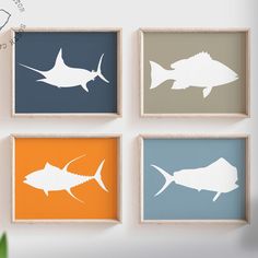 four framed pictures with different types of fish on them, one is white and the other is blue