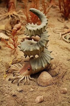 an odd looking object in the sand with shells and seaweed on it's sides