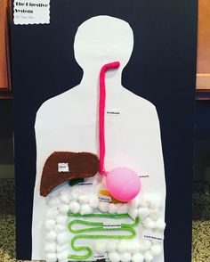 an image of a human body made out of plastic balls and cotton balls with a pink balloon attached to it