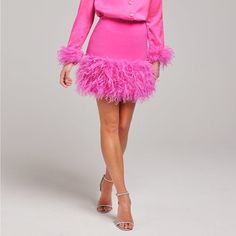 Size Small, Worn Once. Zipper In Back Of Skirt Modus Operandi, Feather Skirt, Womens Skirt, Zipper, Pink, Women Shopping, Color