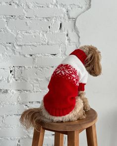 a small dog wearing a red and white sweater sitting on a wooden stool in front of a brick wall