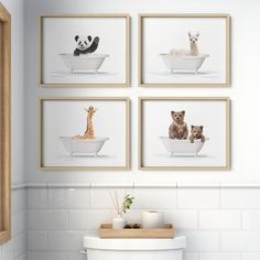 four framed pictures hang on the wall above a toilet in a bathroom with white tile