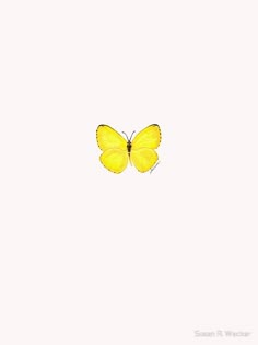 a yellow butterfly flying through the air