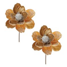 two gold and silver flowers with frosted petals on them are shown against a white background