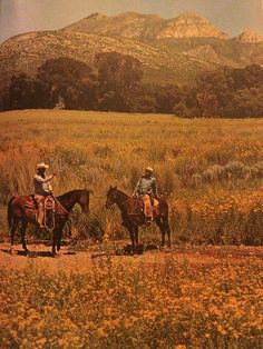 two men riding horses through a field with mountains in the background and wildflowers