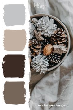 a bowl filled with pine cones and other decorations on top of a white sheeted surface