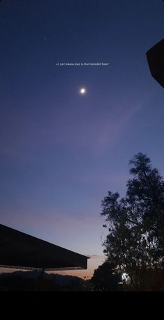 the moon is shining brightly in the sky above some trees and buildings at night time