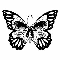 a drawing of a butterfly with skull and crossbones on it