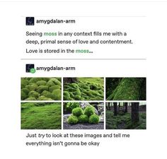 an image of moss growing on the ground in different stages of growth, with caption below