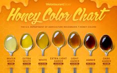 honey color chart with spoons full of different colors and flavors on an orange background