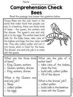 the worksheet for reading and writing about bees, which includes two different words