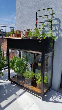 an outdoor planter with plants growing in it