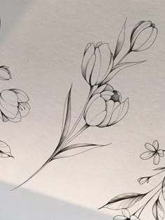 some black and white drawings of flowers on a sheet of paper with watercolor pencils