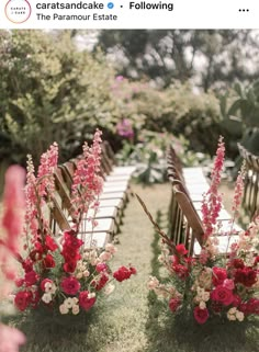 two rows of wooden chairs with red and white flowers on them sitting in the grass