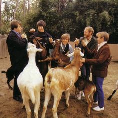 a group of people standing next to each other near a baby goat and an adult goat