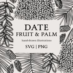 Date fruit & palm leaves sketches set. Available for personal and commercial use. Perfect for packaging, prints, posters, greeting cards, packaging, wrapping paper, wall decor, scrapbooking, and home decor. All our vector illustrations are original and unique. Elements are hand-drawn, scanned, and carefully converted into digital vector files (using trace operation). Each sketch is customizable and scalable to any size without losing sharpness and clarity. Our digital files are created in vector Date Palm Tree, Palm Tree Svg, Engraving Designs, Leaves Sketch, Packaging Prints, Cards Packaging, Palm Garden, Food Sticker, Date Palm