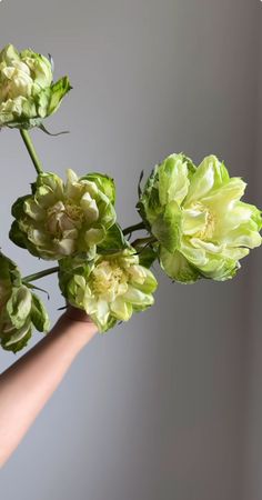 a person holding flowers in their hand