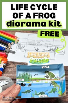 the life cycle of a frog diorama kit is shown with crayons and markers