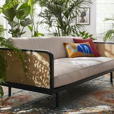 a living room filled with lots of plants next to a couch and coffee table on top of a rug