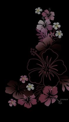 a black background with pink and white flowers