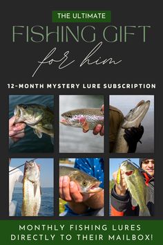 12-Month Mystery Lure Subscription Each month, they'll receive a hand-picked selection of premium freshwater fishing lures from our shop tailored to keep their fishing adventures fresh and exciting. Perfect for birthdays, holidays, or just because!