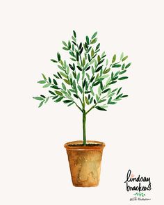 a painting of a potted plant with green leaves