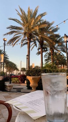 a glass of water sitting on top of a table next to a palm tree in the background