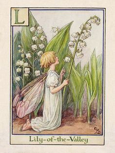 the lily of the valley fairy is holding a flower in her hand and looking at it