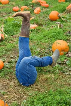 a person laying on the ground with their legs in the air, surrounded by pumpkins