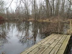 a wooden dock sitting on top of a river next to a forest filled with trees