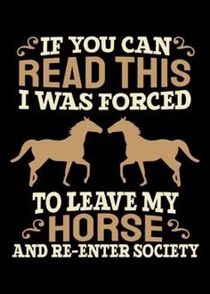 a horse saying if you can read this i was forced to leave my horse and enter society