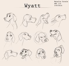 some drawings of dogs and their heads in various poses, with the words wyatt above