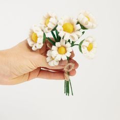 a hand holding a bunch of white and yellow daisies on top of each other