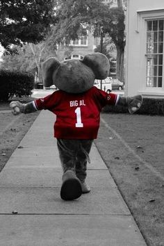 a teddy bear walking down a sidewalk wearing a red shirt and gray pants with the number 1 on it's chest