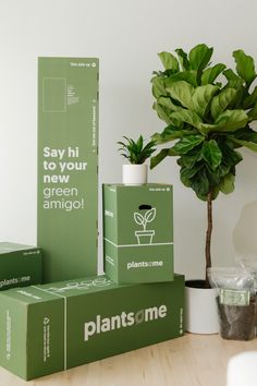 some plants are sitting on top of boxes