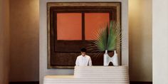 a man standing in front of a white counter with a plant on top of it