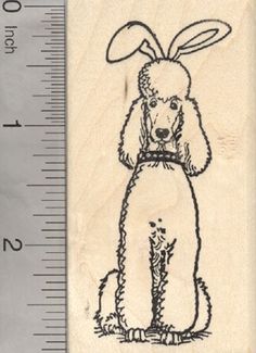 Easter Poodle Rubber Stamp, Dog in Bunny Ears Poodle Drawing, Stamp Maker, Pink Poodle, Pet Vet, Scrapbooking Stamps, Ohio Usa, Poodle Puppy, Saint Patrick's Day, Standard Poodle