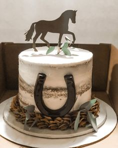 a cake with a horse and horseshoe on top